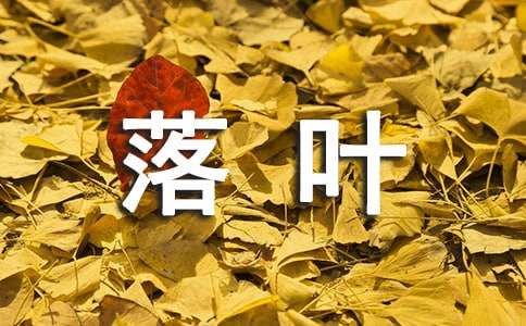 大班语言教案《落叶》（通用15篇）