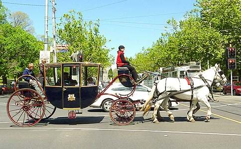 关于马车作文英文