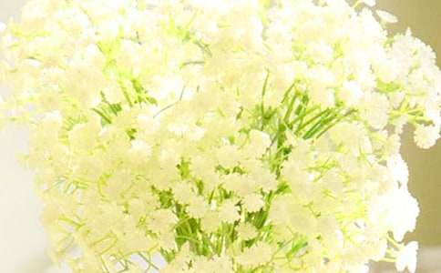 满天星花语是什么意思