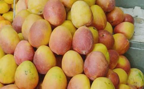 芒果树作文汇总15篇