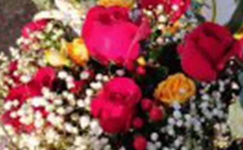 99朵粉玫瑰花的花语含义介绍