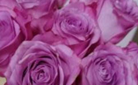 黑玫瑰花语故事