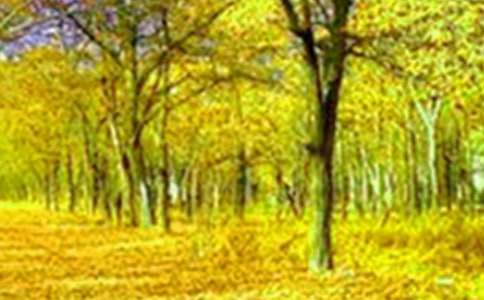 大自然的美景作文15篇[集合]