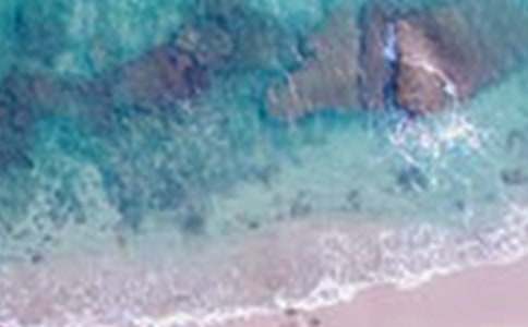 写大自然美景的作文