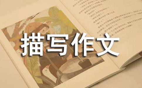 关于小鸡描写作文汇总十篇