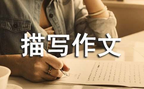 实用的小鸡描写作文八篇