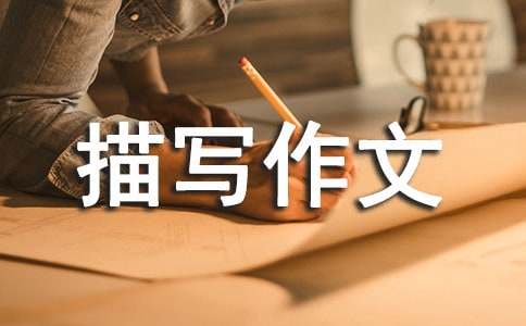 实用的小鸡描写作文汇总9篇