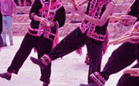 大班社会《到民族娃娃家做客》教案