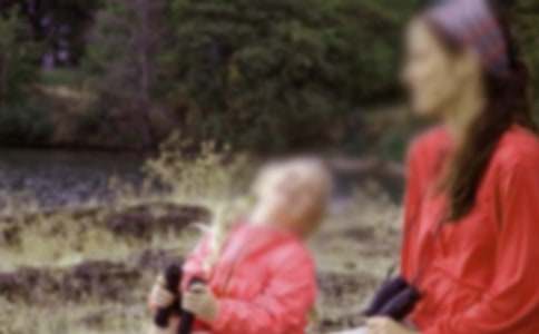 我的母亲随笔作文