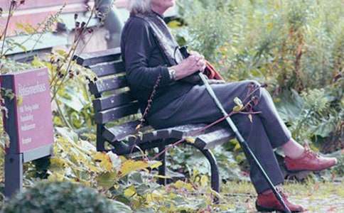 【实用】我的奶奶小学作文四篇