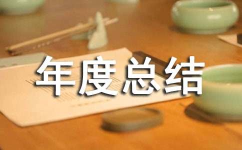 工程项目年度总结范文