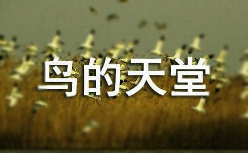 “鸟的天堂”导游词15篇