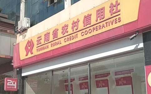 农村信用社员工工作总结