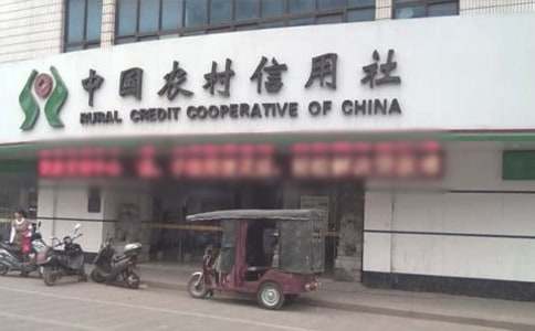 实用的农村信用社的实习报告3篇