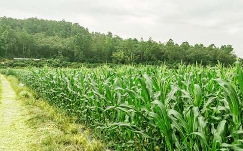 农家乐策划书集合15篇