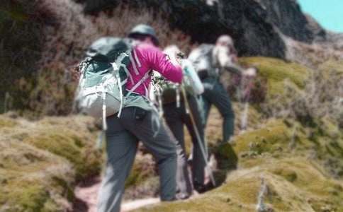 精选爬山教案汇编十篇