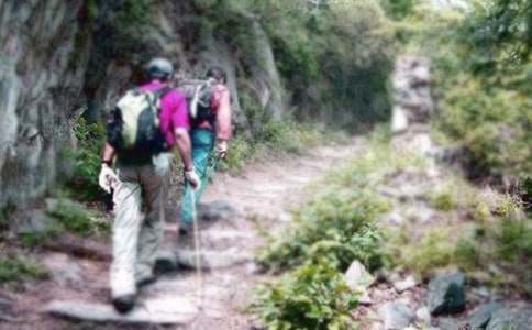 [优秀]爬山活动策划书15篇