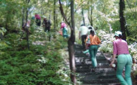 爬山小学作文15篇