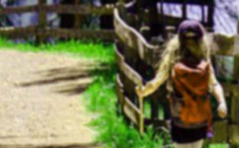 《爬山虎的脚》教案[必备28篇]