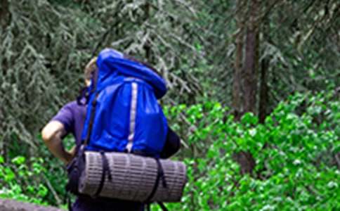 爬山心得体会[集合]