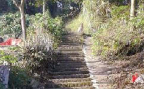 精选爬山教案集合六篇