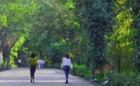 爬山教案集锦六篇