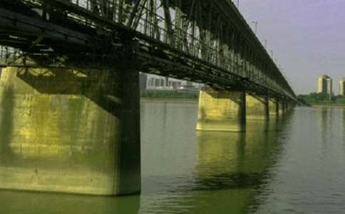 桥梁实习报告模板锦集十篇