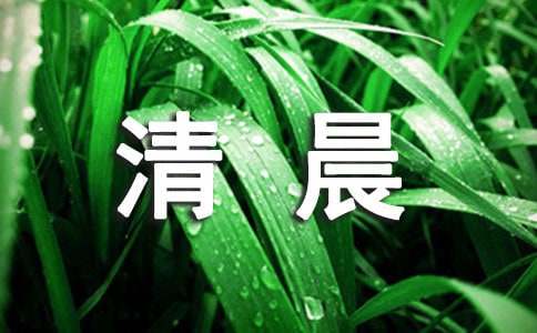 清晨每日问候语