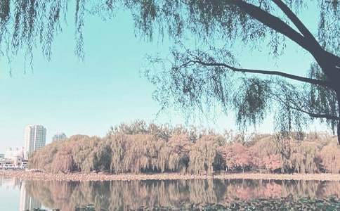 五年级秋季工作计划合集五篇