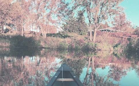 秋季大班的工作计划