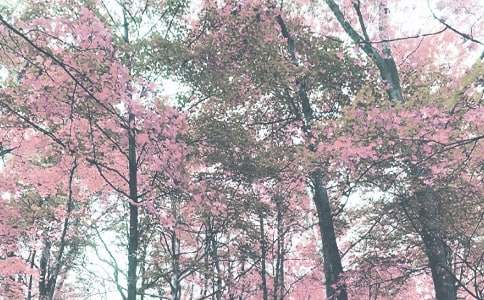 大班秋季工作计划汇编15篇