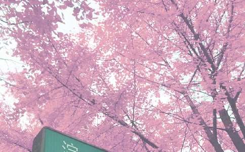 保育员秋季工作计划