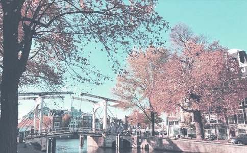 秋季小学安全工作计划