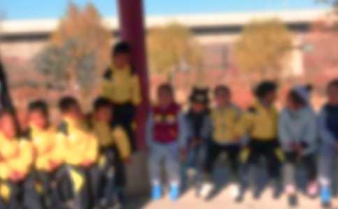 幼儿秋游的活动策划