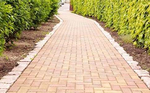 《自动人行道》教案