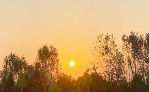 [合集]观日出作文3篇