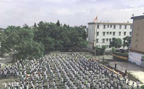 [优]小学第一学期散学典礼简报15篇