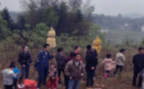 扫墓活动倡议书