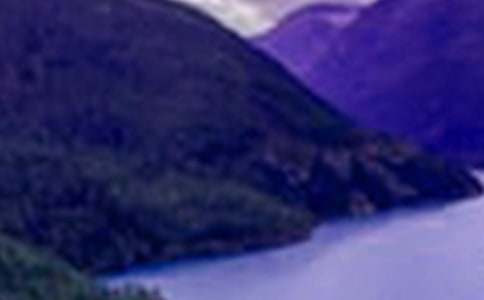 山水画心得体会（通用19篇）