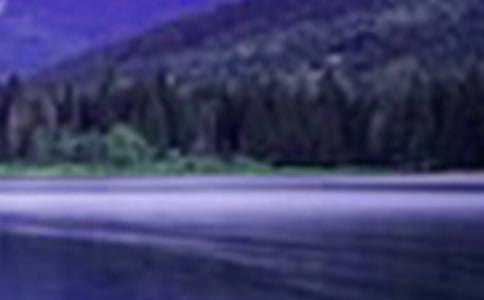 桂林的山水作文