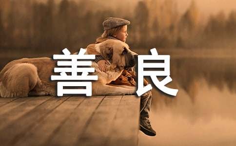 《欣赏是一种善良》读后感