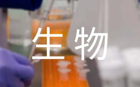 生物备课组工作计划15篇