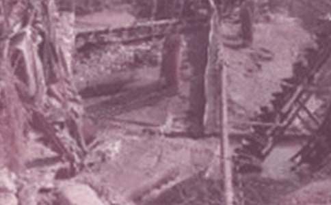 石油馆作文（精）