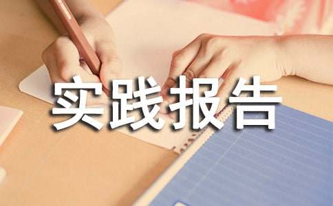 高中生社会实践报告（精华15篇）