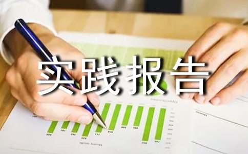 初中社会实践报告