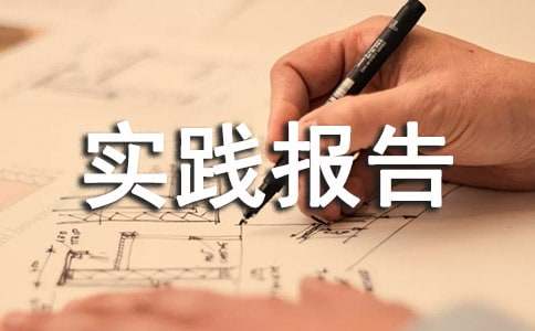 社会实践报告范例（15篇）
