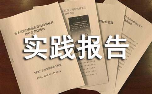 高中生社会实践报告优选(15篇)