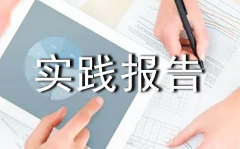 助理社会实践报告范文【精】