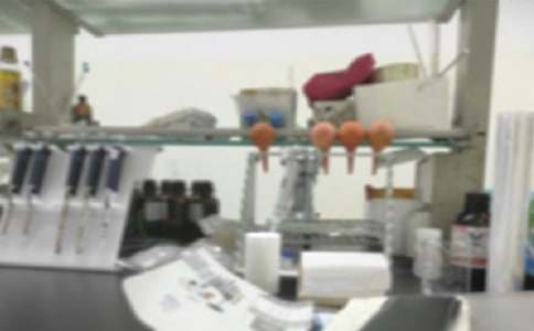 物理实验室工作计划(精选15篇)