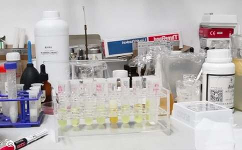 小学实验室工作总结(集锦15篇)